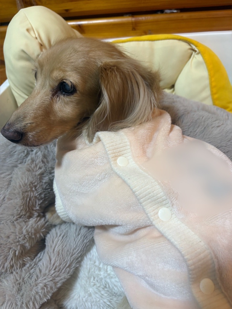 1件目のレビュー画像 | 0