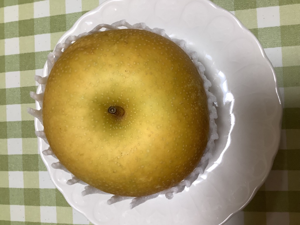 全体のレビュー画像 | 10-0
