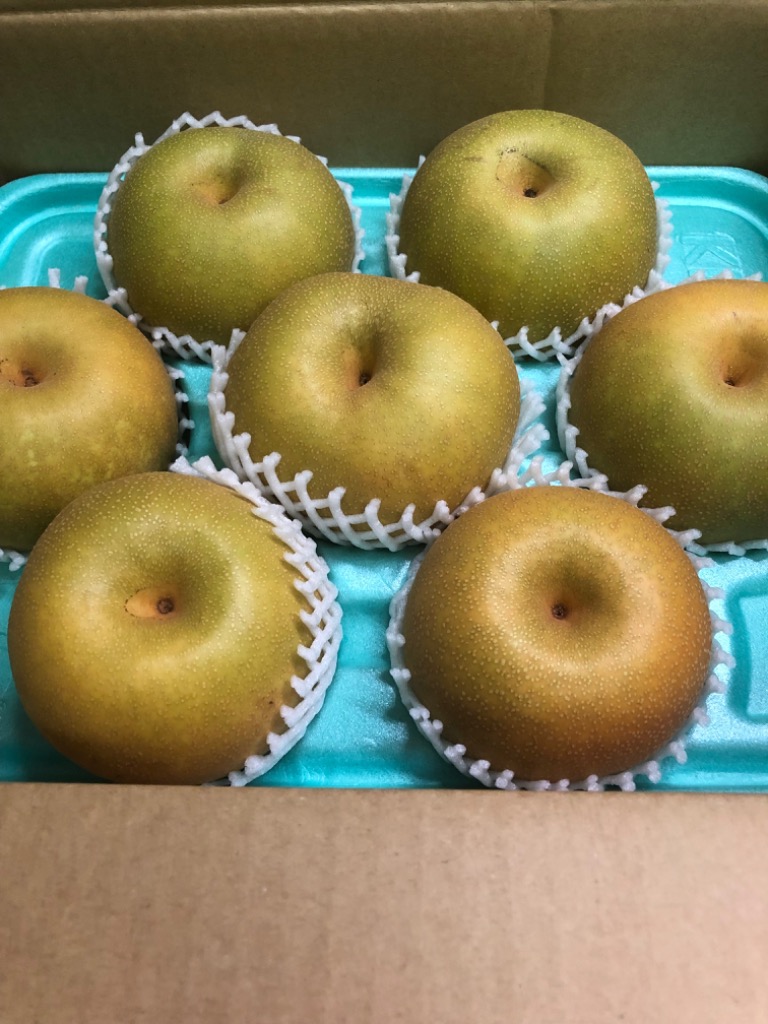 りんご 洋梨 プルーンNo.1★家庭用★6種のフルーツセット★箱込み3キロ以上★