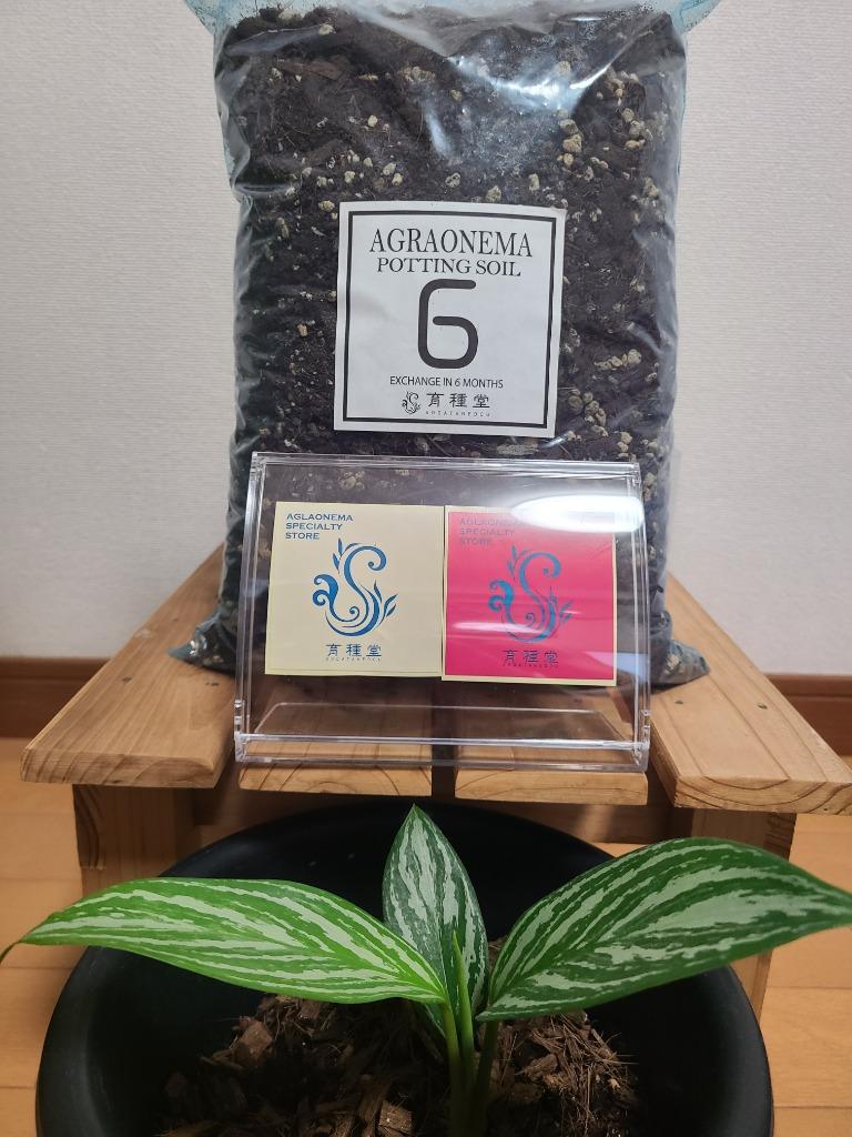 アグラオネマ専用培養土］Aglaonema potting soil exchange in 6 months（9L） :other0004:育種堂  - 通販 - Yahoo!ショッピング