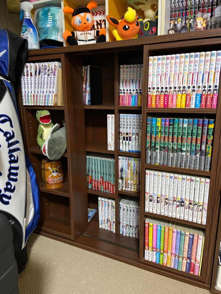 IRIS OHYAMA 本棚 大容量 おしゃれ スリム スライド 書棚 IRIS OHYAMA 本棚 大容量 おしゃれ スリム スライド 書棚