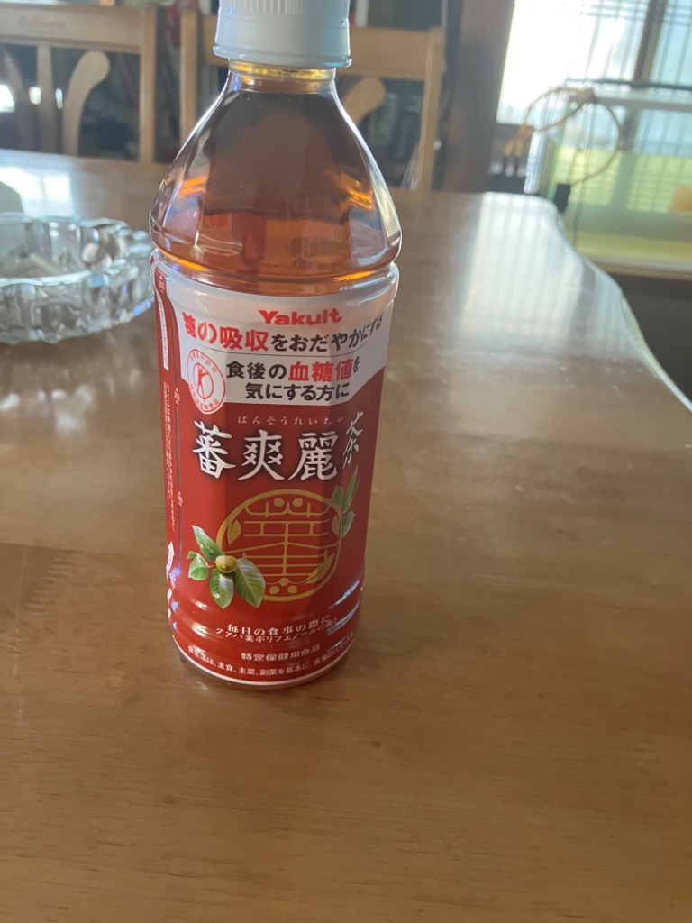 蕃爽麗茶 ヤクルト ばんそうれいちゃ 500ml ペットボトル 48本 (24本入