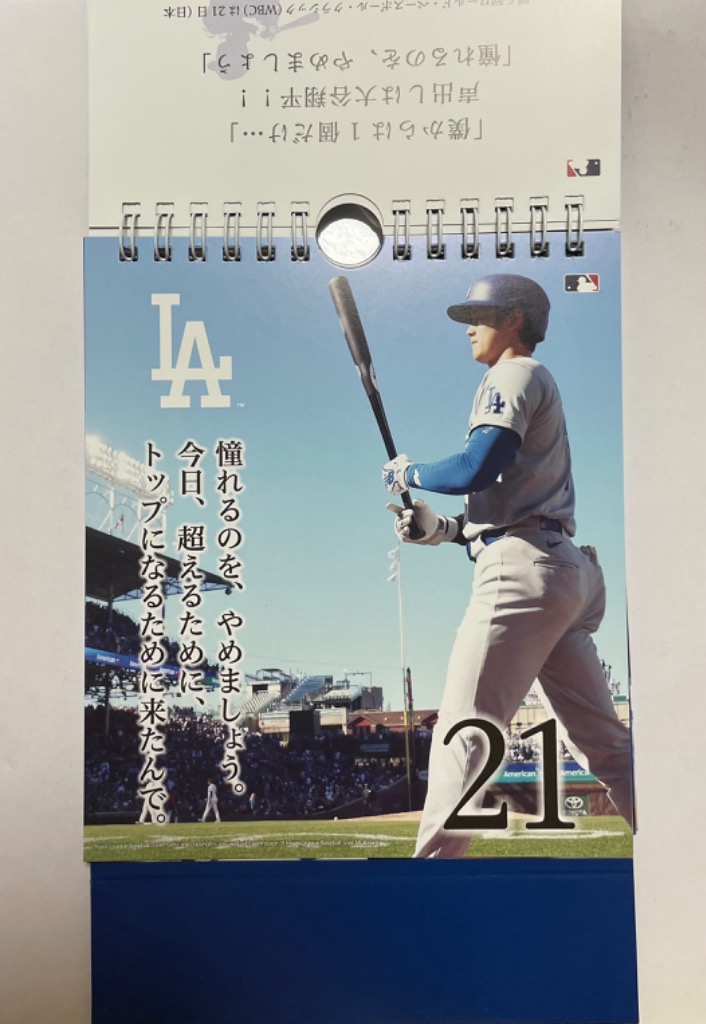 2026年 MLB公式 ドジャース 大谷翔平選手 万年 日めくりカレンダーの