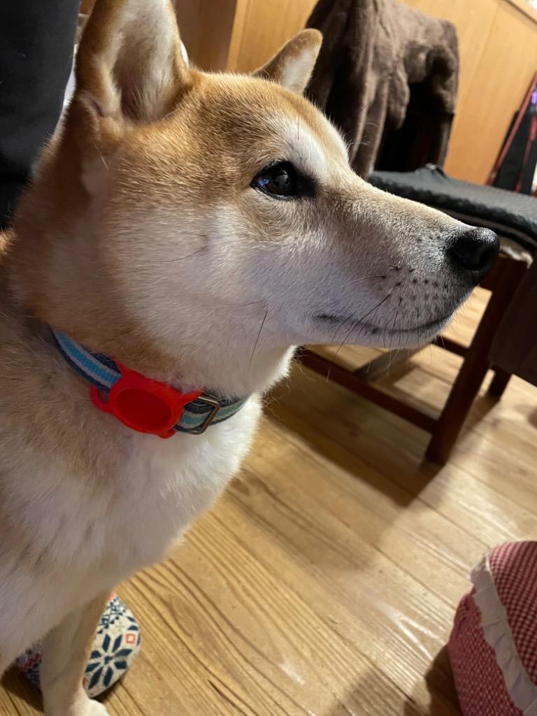 1件目のレビュー画像 | 0