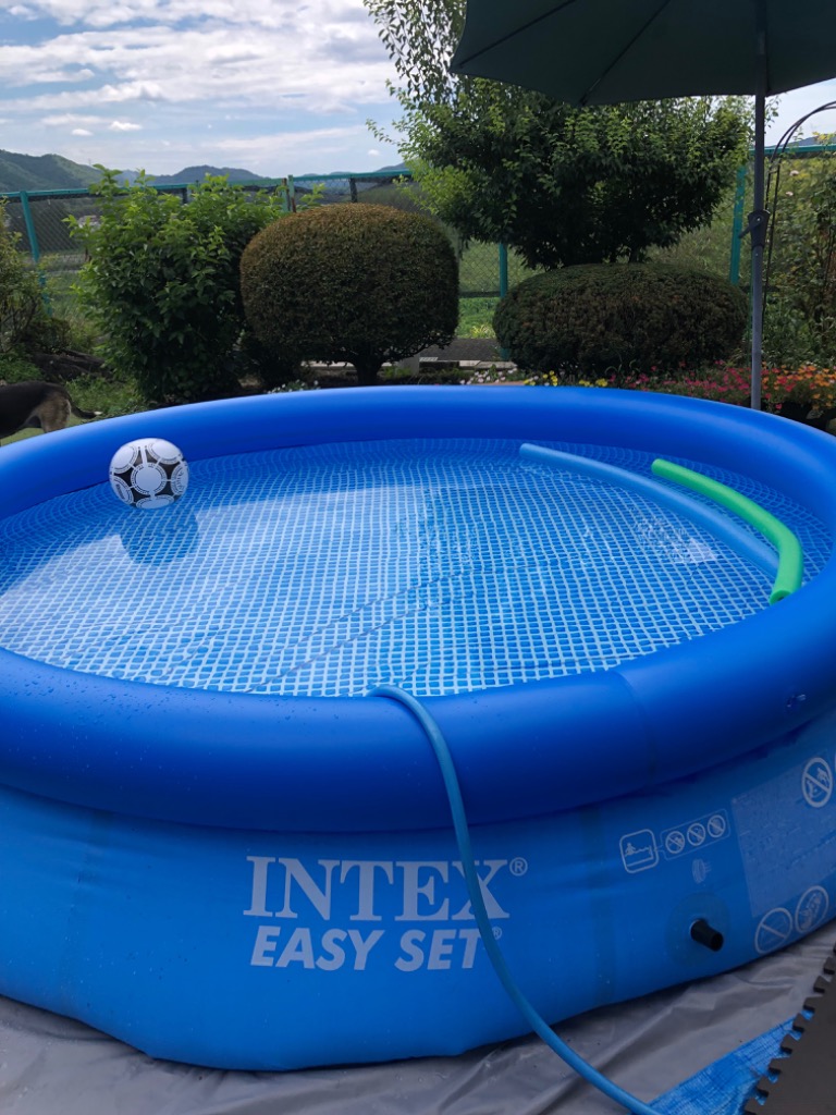 INTEX インテックス 家庭用プール 3m 305cmX76cm イージー