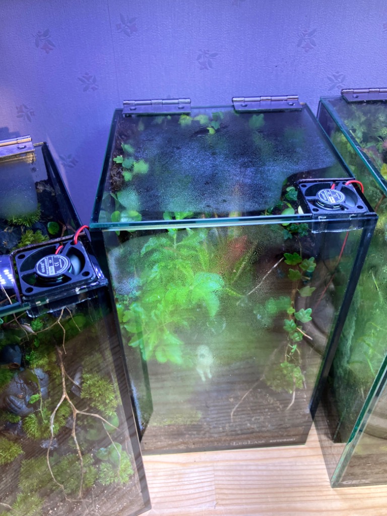 1件目のレビュー画像 | 0