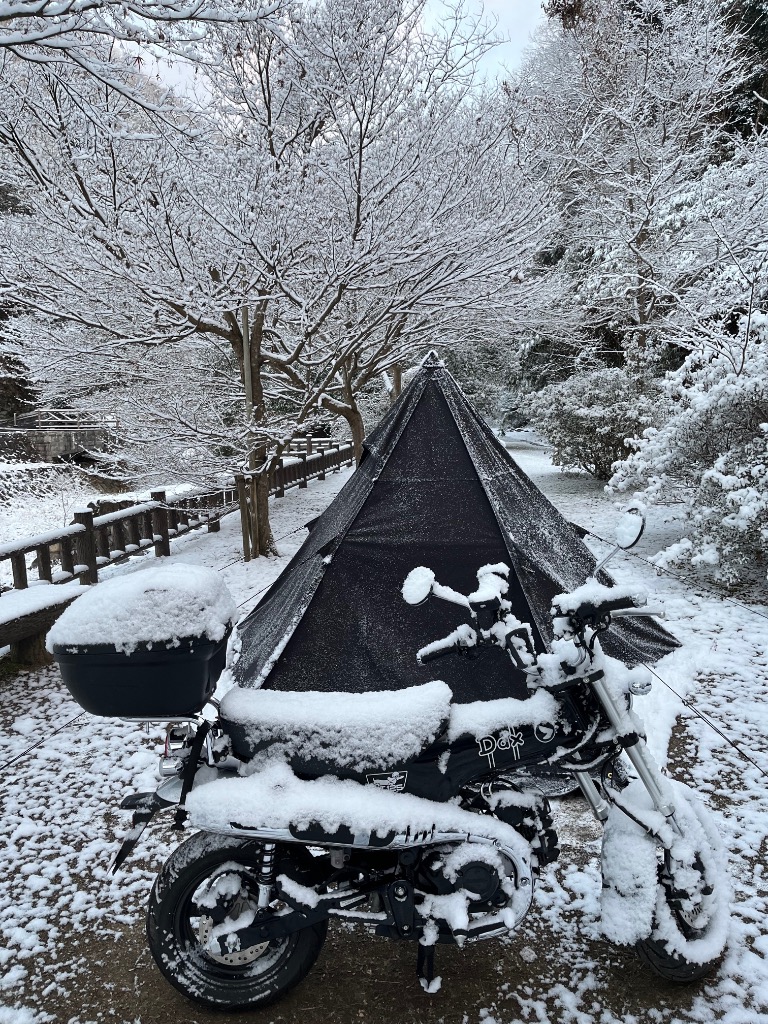 1件目のレビュー画像 | 2