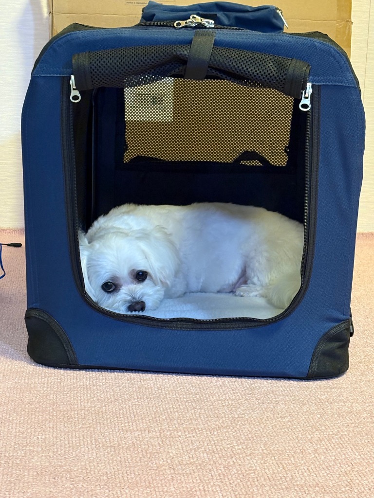 FEANDREA 犬クレート 折りたたむ ペットキャリー 60×42×42cm