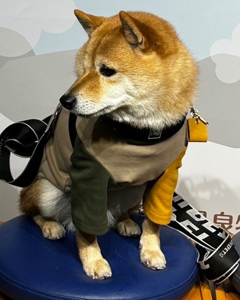 1件目のレビュー画像 | 0