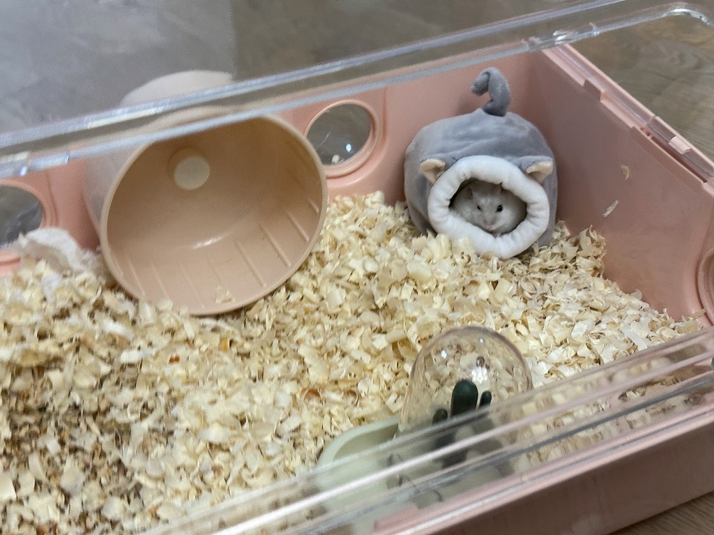 レビュー画像