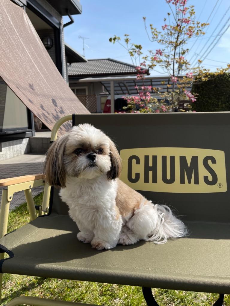 CHUMS チャムスバックウィズベンチ CH62-1328/1499/1595/1752