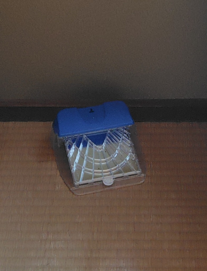 1件目のレビュー画像 | 0