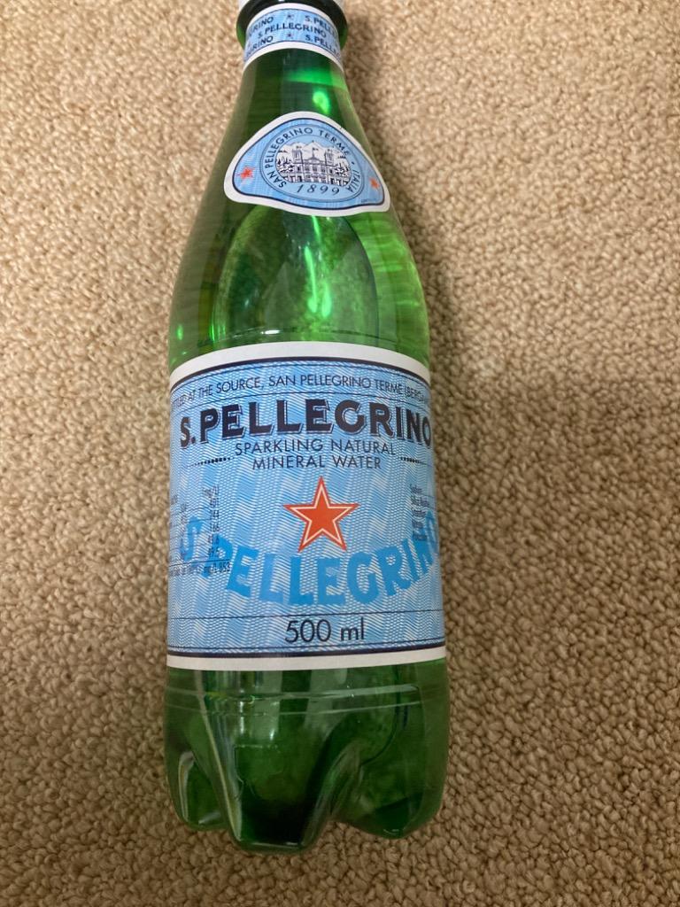 サンペレグリノ ペットボトル 炭酸水 正規輸入品 ( 500ml*48本入 )/ サンペレグリノ(s.pellegrino)  :11724:爽快ドリンク専門店 - 通販 - Yahoo!ショッピング