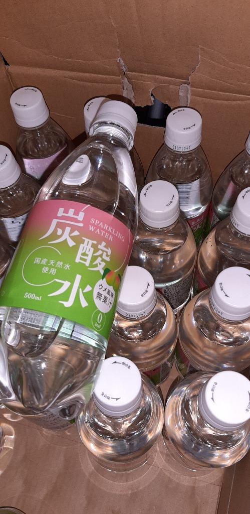 訳あり)国産 天然水仕込みの炭酸水 ウメ ( 500ml*24本入 ) :4964621505251:爽快ドリンク専門店 - 通販 -  Yahoo!ショッピング