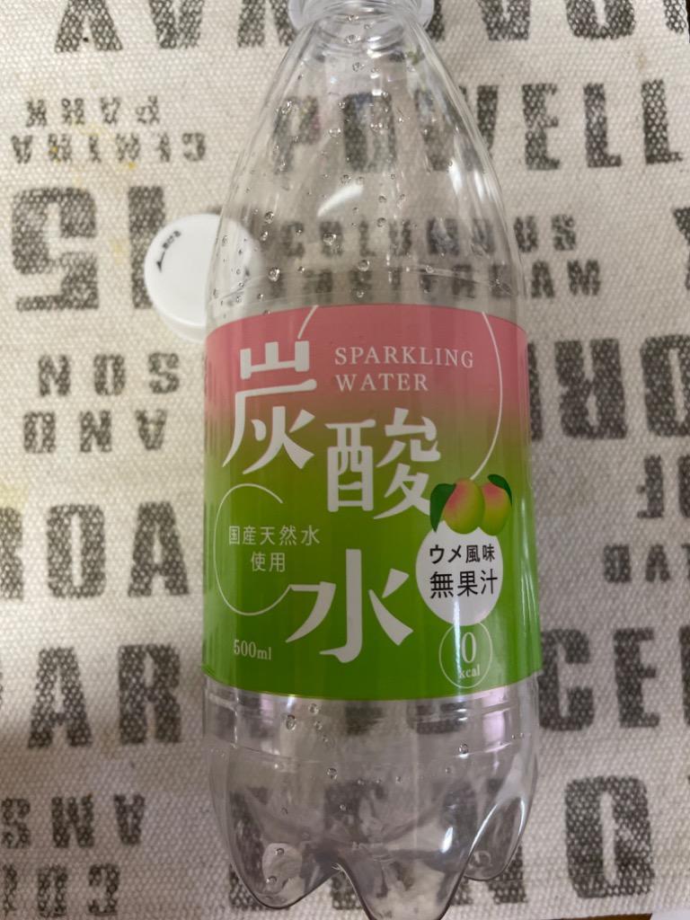 訳あり)国産 天然水仕込みの炭酸水 ウメ ( 500ml*24本入 ) :4964621505251:爽快ドリンク専門店 - 通販 -  Yahoo!ショッピング