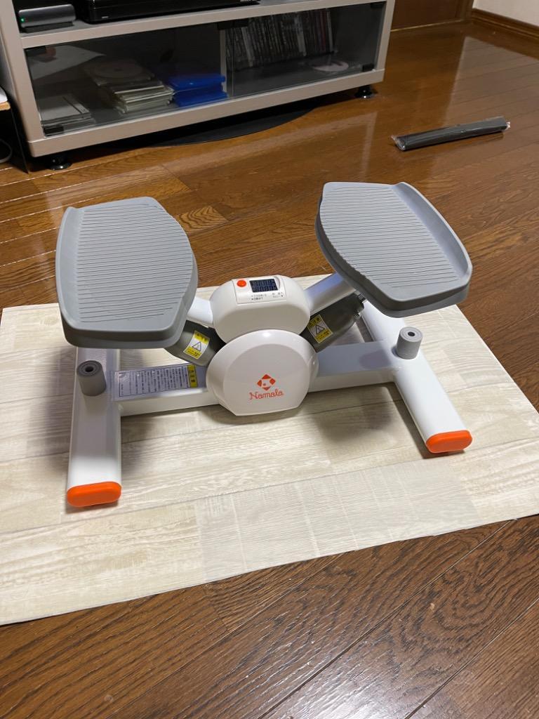 Namala ナマラ エンジョイバランスステッパー NA6104 ステッパー