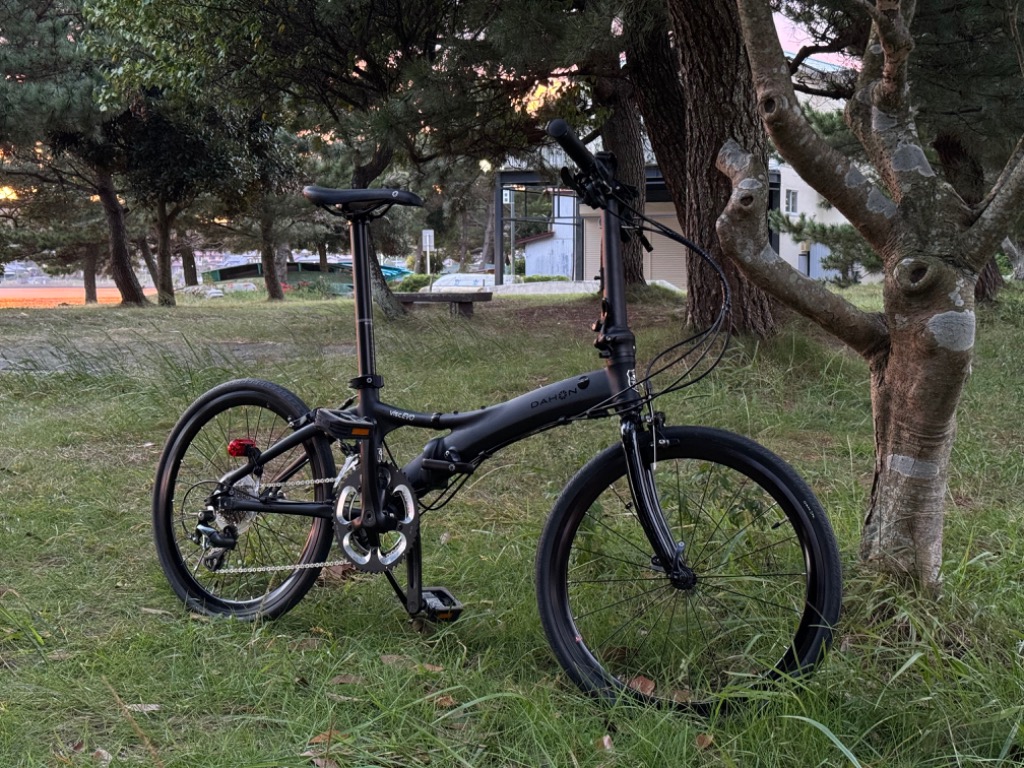 DAHON (西濃支店止め送料無料) ダホン Visc EVO 2025