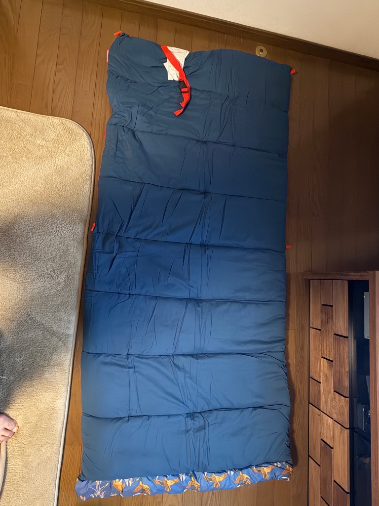 Coleman（コールマン） アウトドア キャンプ 用品 寝袋 コージーII