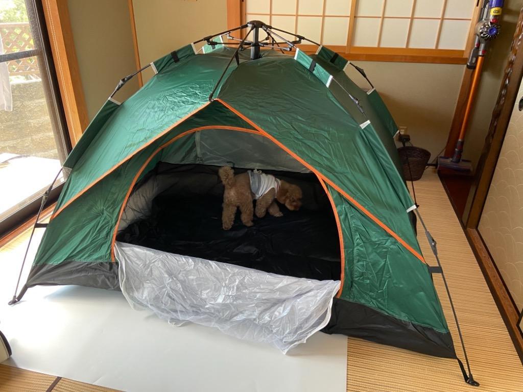テント ワンタッチテント UVカット 2~3人用 軽量 フルクローズ 簡単 