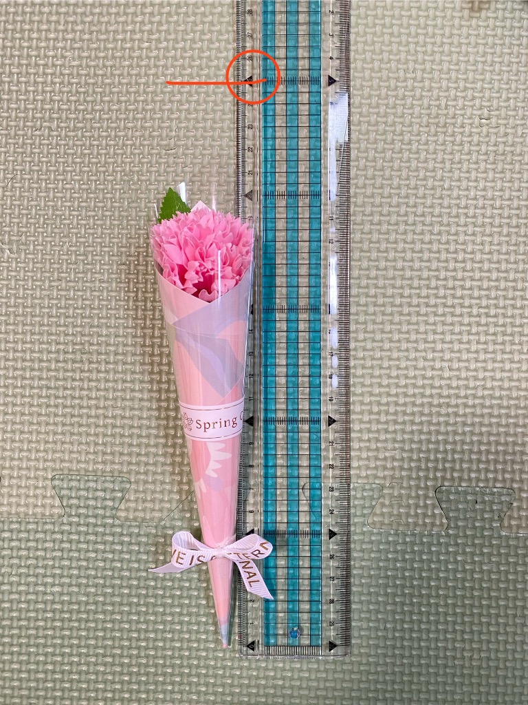 全体のレビュー画像 | 0-0