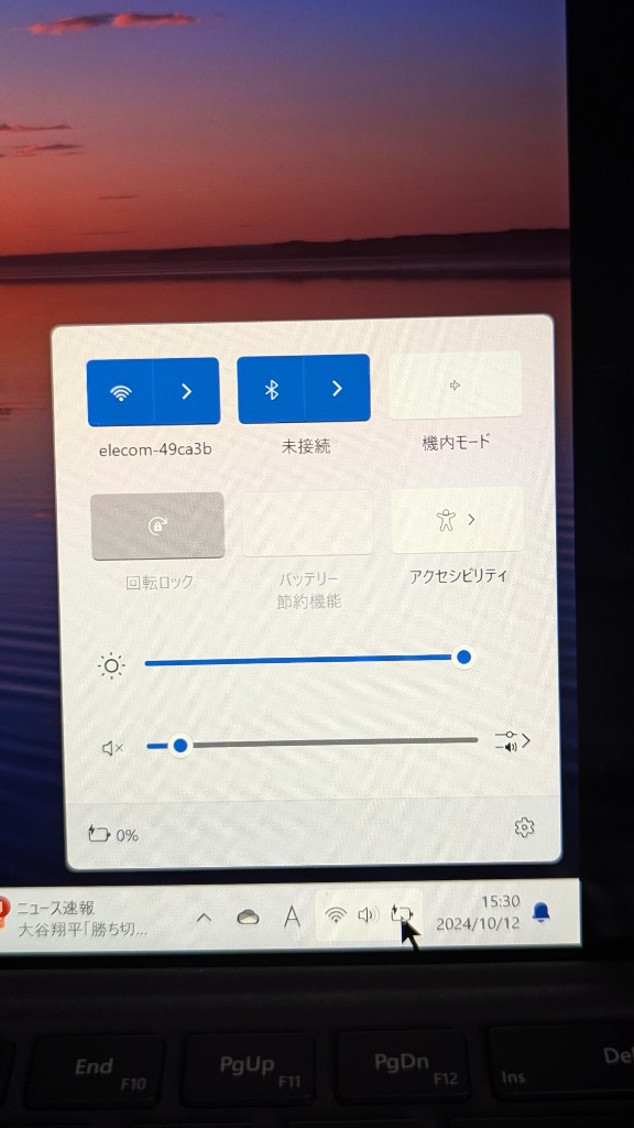レビュー画像