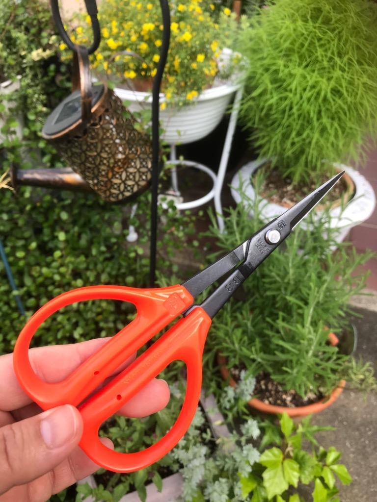 超激得SALE チカマサ ぶどう鋏 B-300 qdtek.vn
