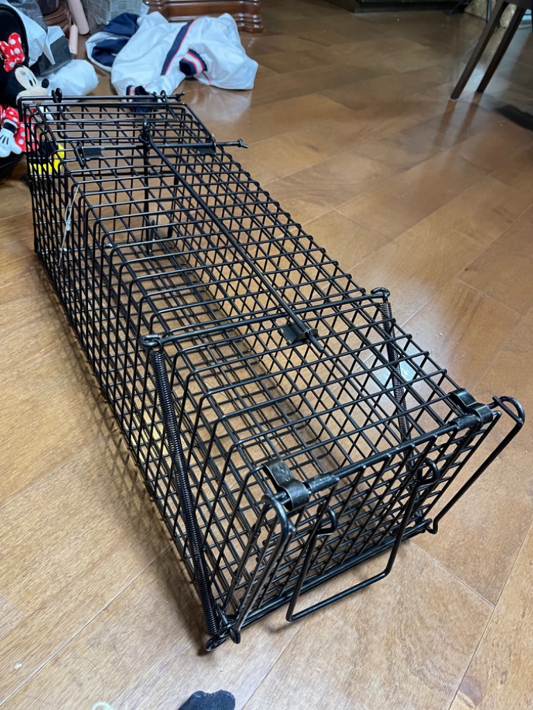WP 害獣捕獲器 小 62cm 捕獣器 害獣駆除 害獣対策 罠 捕獲かご