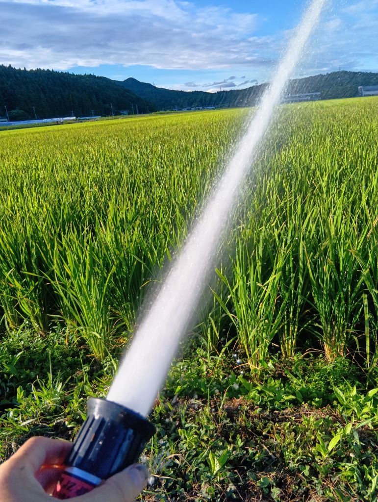 岩崎製作所 自在散水ノズル JZ微粒子 50mm 05JZB50A IWA 散水ホース