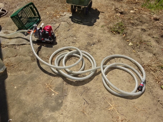 10件目のレビュー画像 | 0