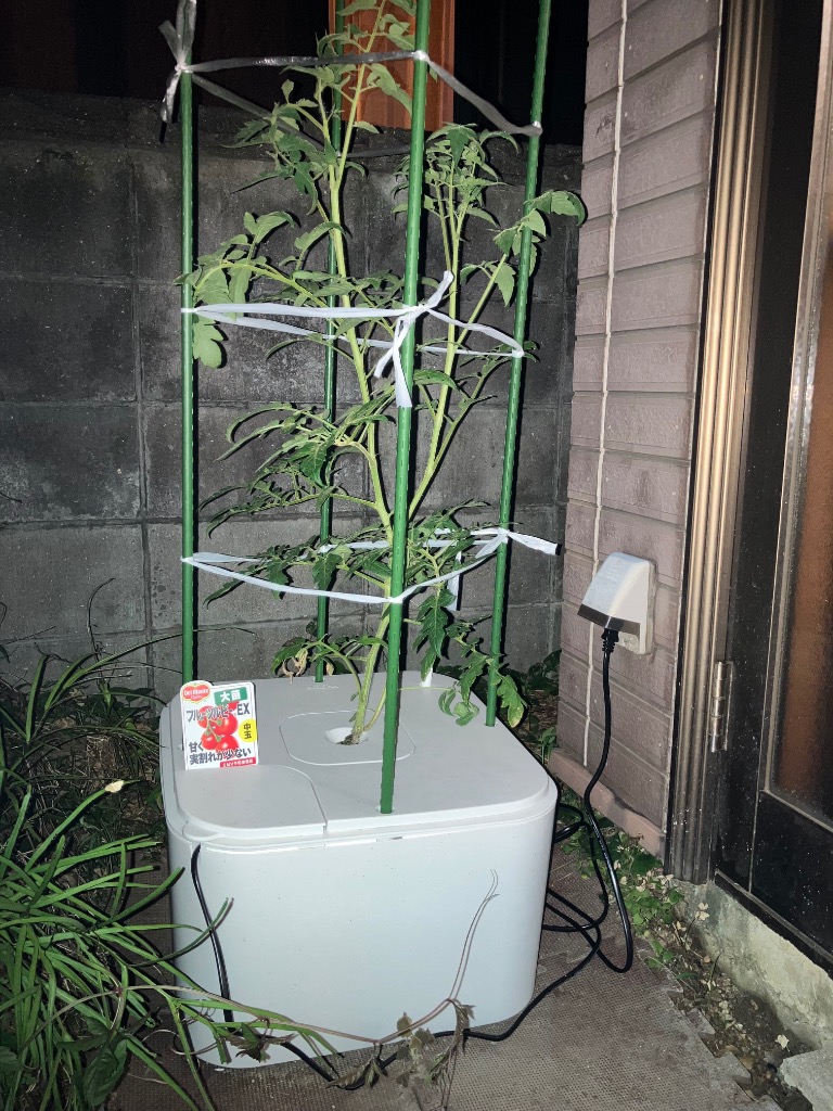 水耕栽培キット 家庭用 家庭菜園 水耕栽培 セット 室内 屋内