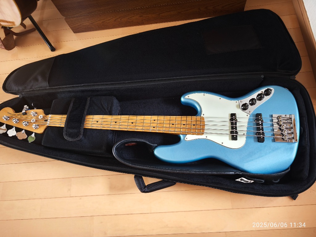 Alex Zhu　モモセ　PROTECT CASE EB　ベース用 Alex Zhu様専用 モモセ PROTECT CASE EB ベース用