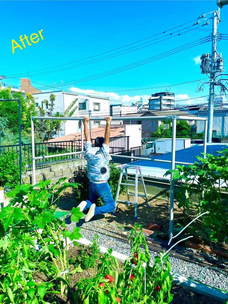 レビュー画像
