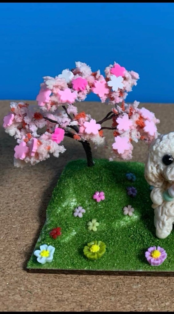 5件目のレビュー画像 | 0