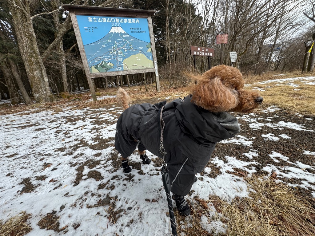 Hurtta フルッタ エクストリームオーバーオール 35S/35M/40M/45M