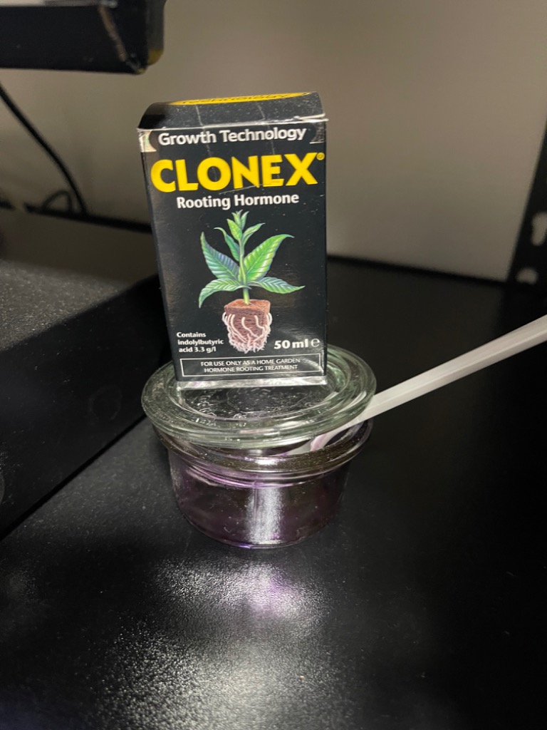 クロネックスルーティングホルモン CLONEX Rooting Hormone 50ml