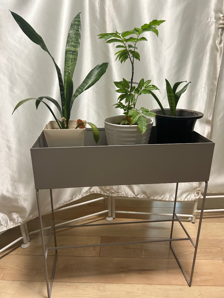 フラワーラック プランタースタンド おしゃれ ボックス 観葉植物 室内