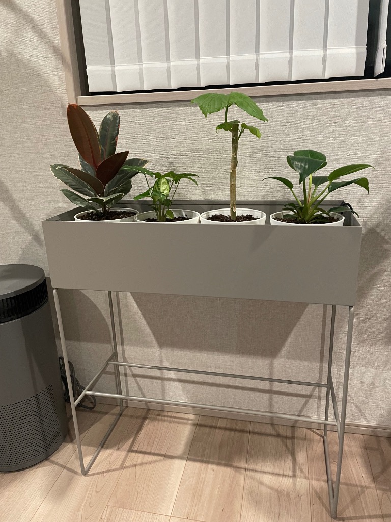 フラワーラック プランタースタンド おしゃれ ボックス 観葉植物 室内