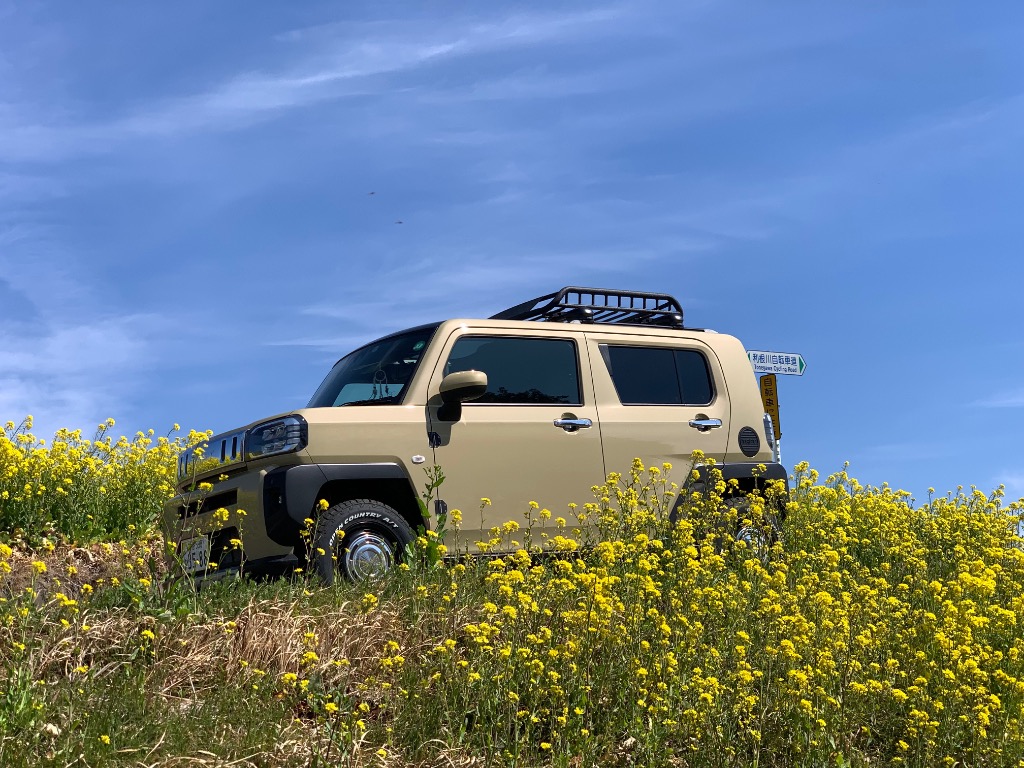 全体のレビュー画像 | 1-0