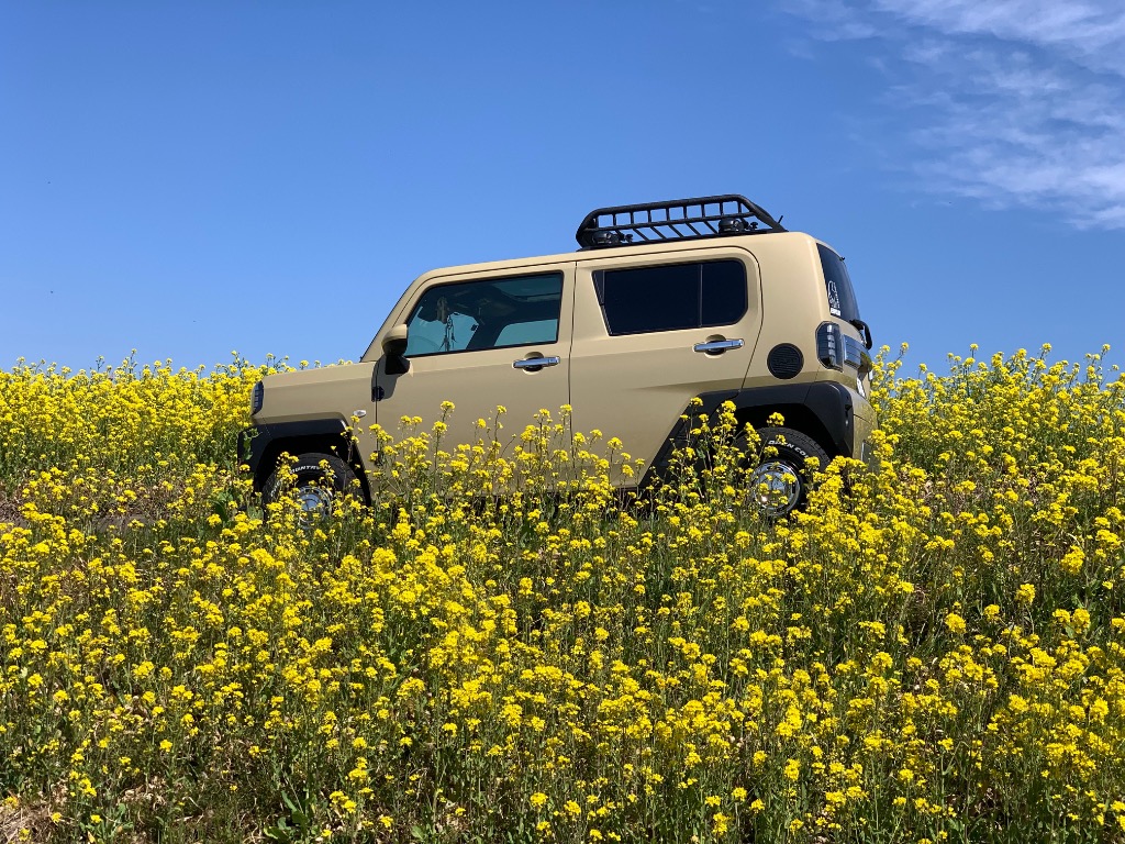 全体のレビュー画像 | 1-1