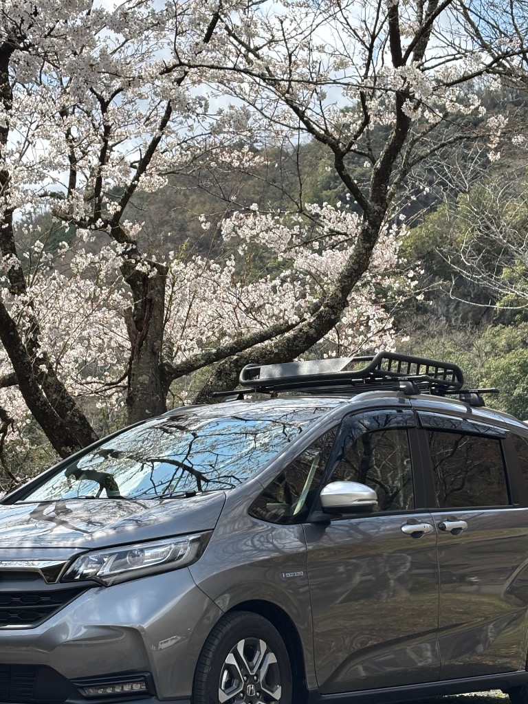 全体のレビュー画像 | 0-0