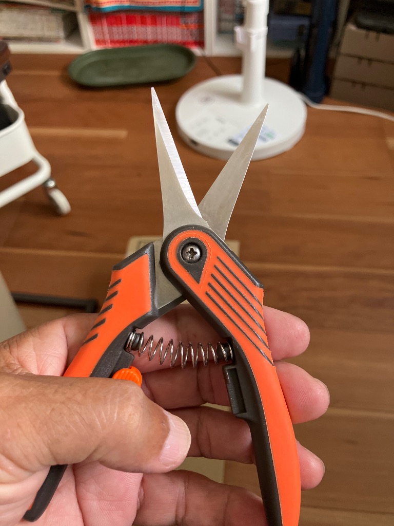 1件目のレビュー画像 | 0