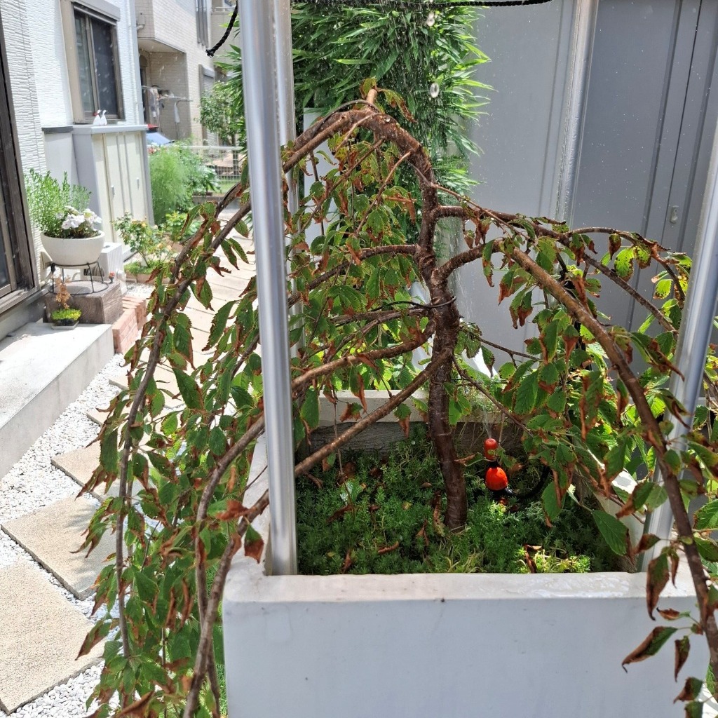 1件目のレビュー画像 | 5