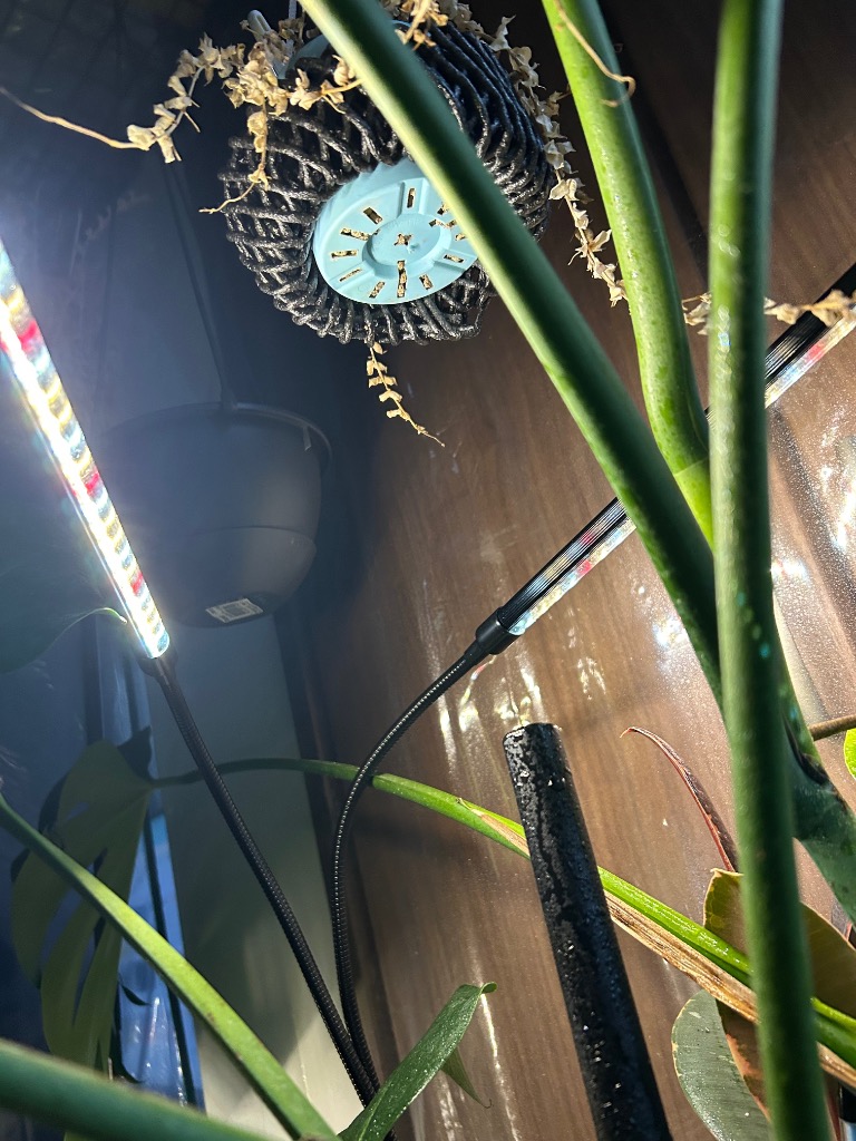 全体のレビュー画像 | 0-2