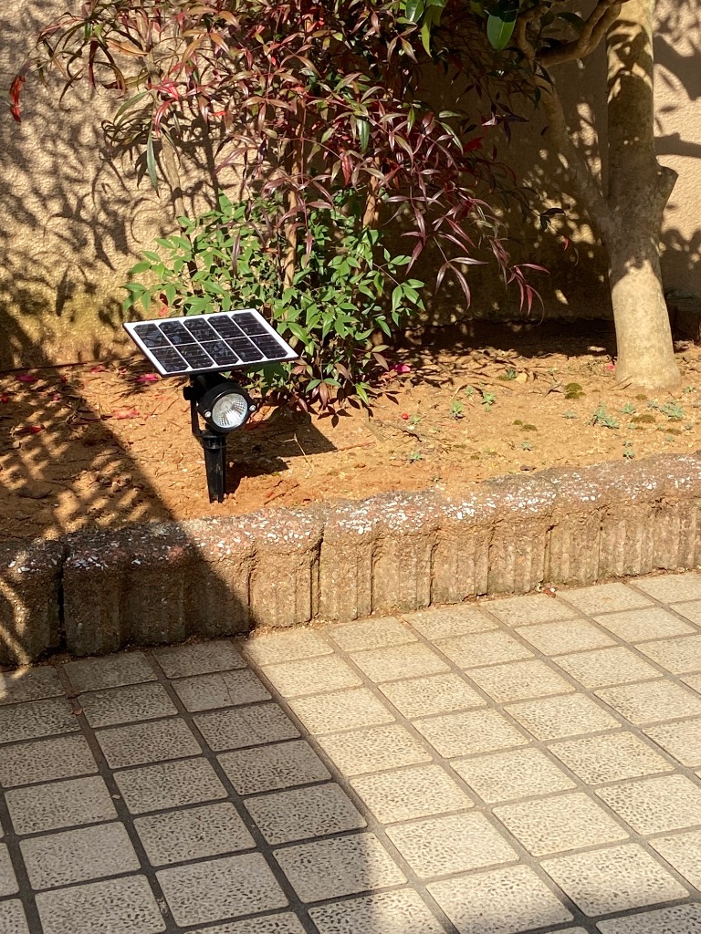 2件目のレビュー画像 | 0