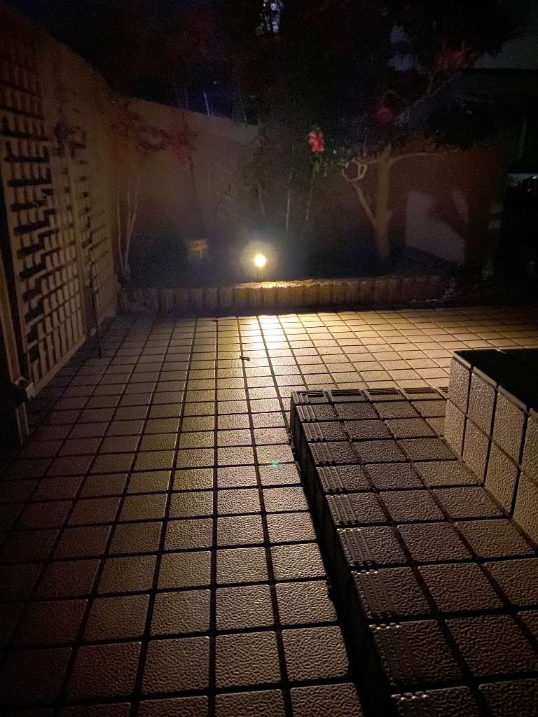 2件目のレビュー画像 | 2