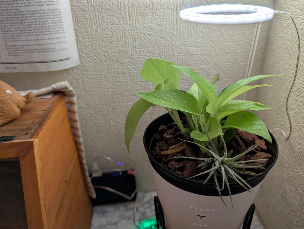 全体のレビュー画像 | 1-0