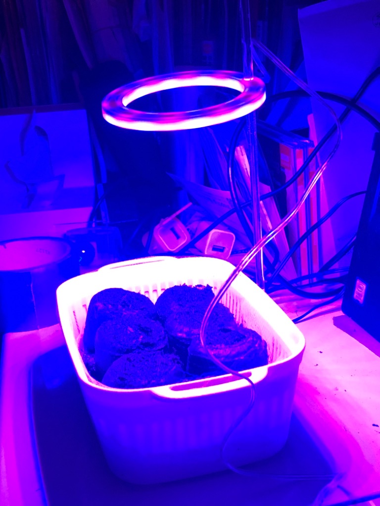 全体のレビュー画像 | 0-0