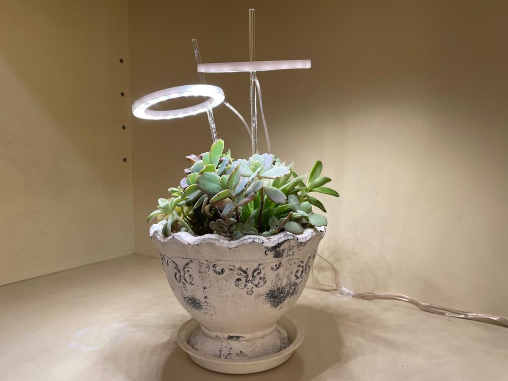 1件目のレビュー画像 | 0