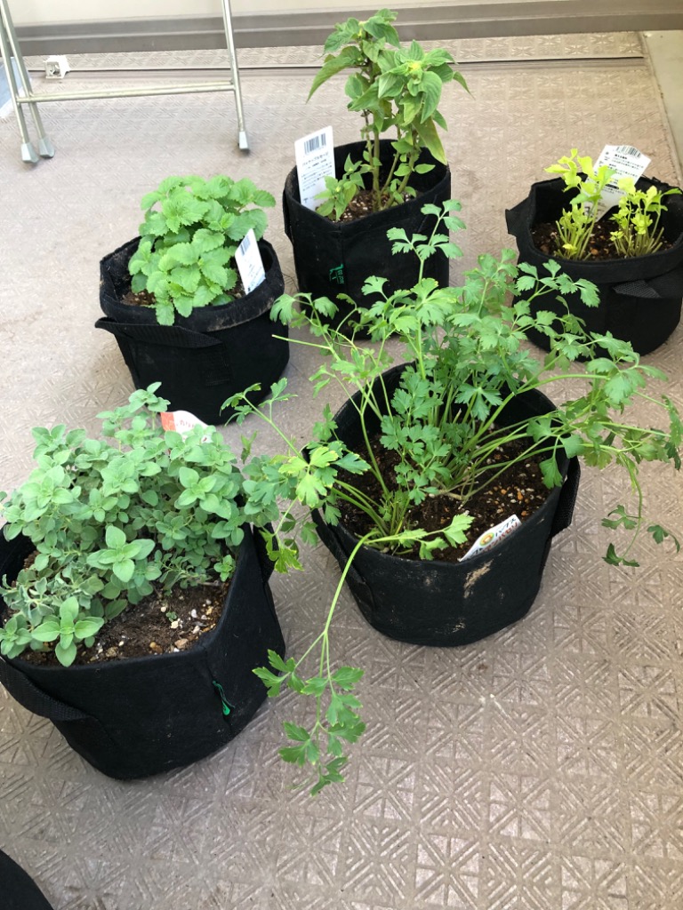 1件目のレビュー画像 | 0