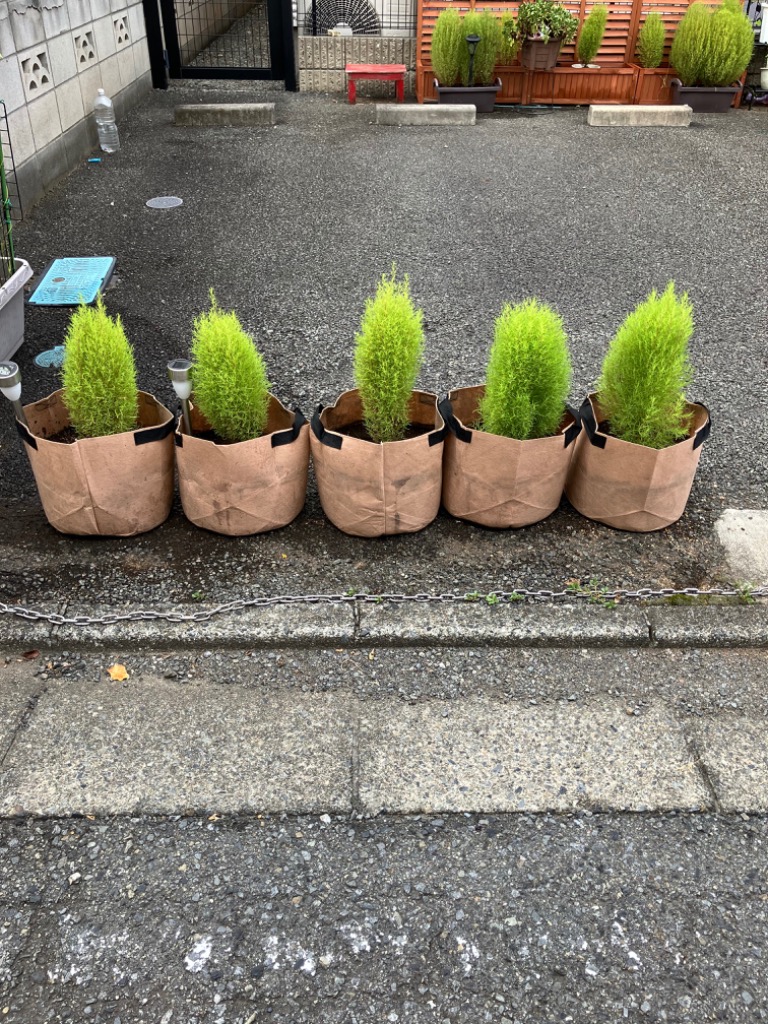 全体のレビュー画像 | 0-0